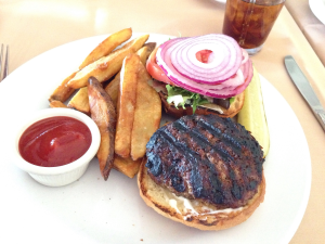 IRIS Angus Cheddar Burger (7-28-2016)